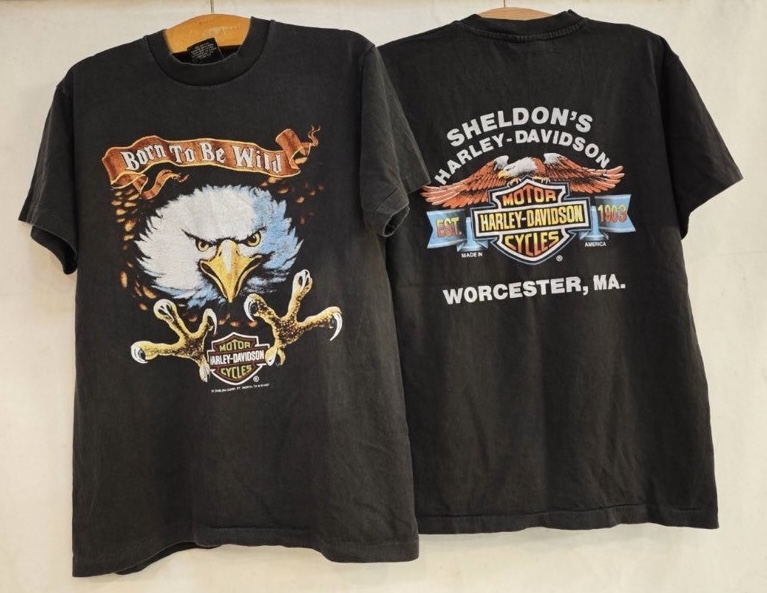 バイクTシャツ  Born To Be Wild