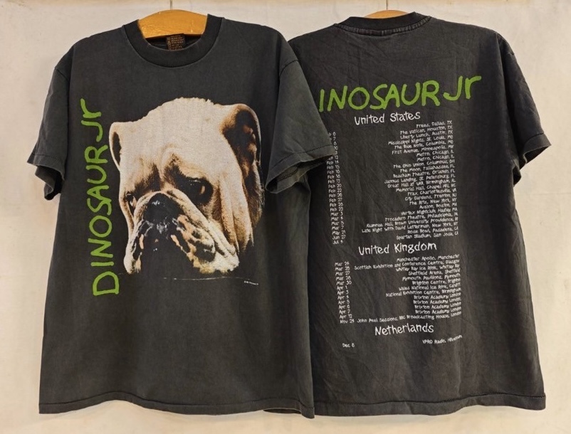 Dinosaur Jr. 『Whatever's Cool with Me』